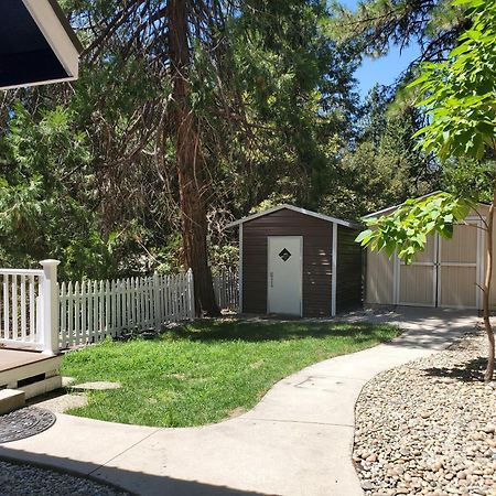 -Serendipity Lodge At Yosemite- Bbq-Full Kitchen-King Bed Oakhurst Esterno foto